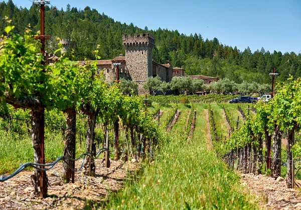 Vignobles Château Castello Amorosa Cave Californie États Unis — Photo