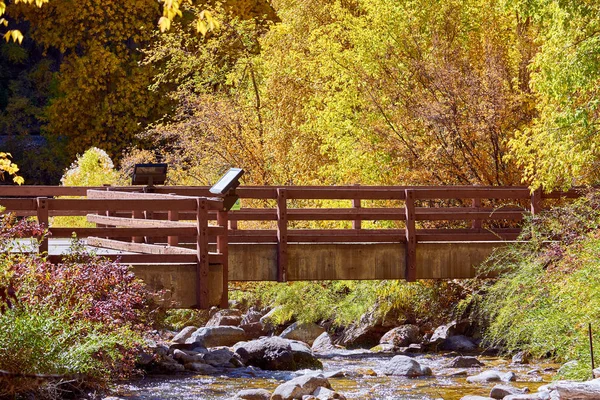 Picturesque Landscape Autumn Trees River Colorado Usa — Stock Photo, Image