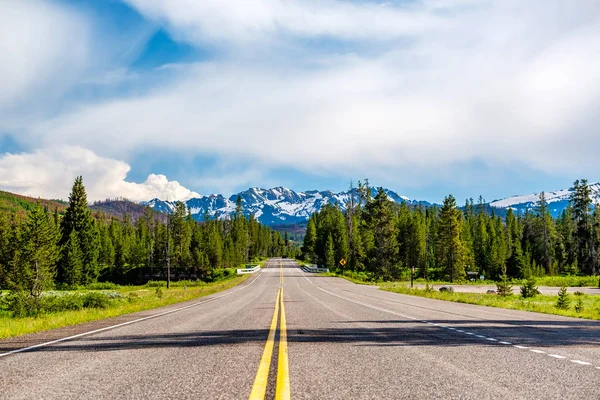 Road Yellowstone National Park Grand Teton National Park Wyoming Estados — Foto de Stock