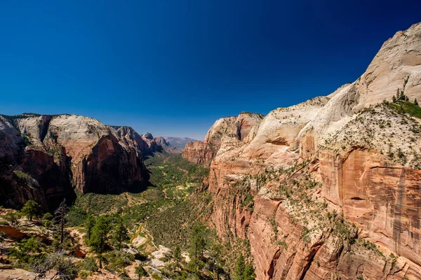 Vista Del Paisaje Con Formaciones Rocosas Parque Nacional Zion Utah — Foto de Stock