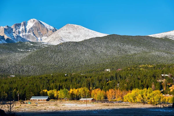 Jesień Las Góry Wiejskiej Okolicy Pobliżu Gór Skalistych Colorado Stany — Zdjęcie stockowe