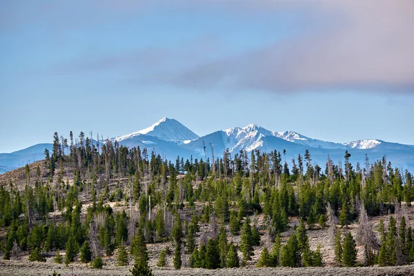 落基山脉和森林的风景 科罗拉多州 — 图库照片