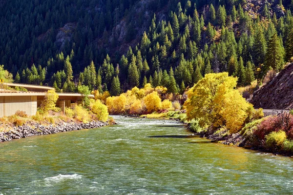 Sonbahar Yatay Ağaçlar Rocky Dağları Colorado Abd Nehri — Stok fotoğraf