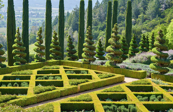 View of green formal garden in California vineyards, USA. 