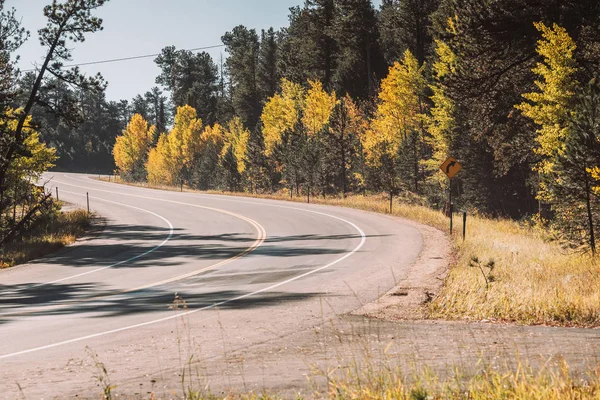 Lege Snelweg Met Herfst Bos Colorado Usa — Stockfoto