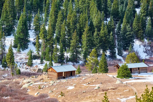 Independência Ghost Town Forest Colorado Mountains Usa — Fotografia de Stock
