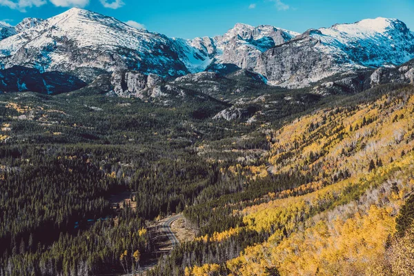 Aspen Grove Otoño Parque Nacional Las Montañas Rocosas Colorado Estados — Foto de Stock