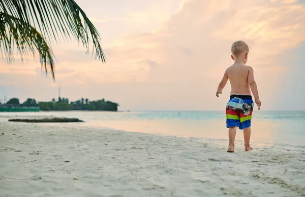 Three year old toddler boy on beach at sunset — Stock Photo, Image