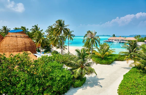 Plage Tropicale Avec Palmiers Vacances Été Aux Maldives — Photo