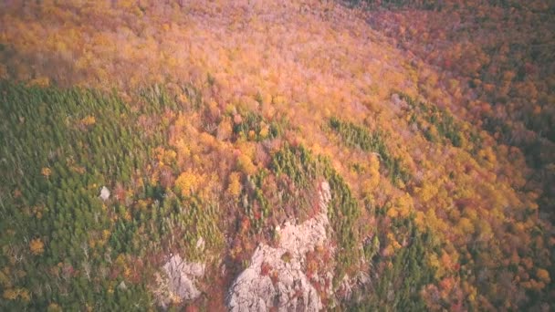 Fall Colours Franconia Notch State Park Autumn Aerial Shot White — Stock Video
