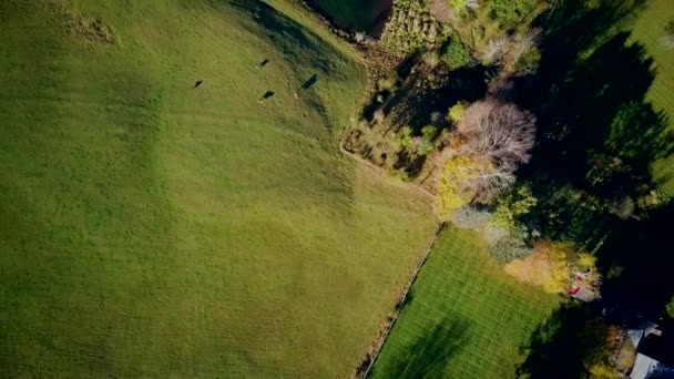 New England Sleepy Hollow Farm Autumn Aerial Shot Woodstock Vermont — Vídeo de Stock