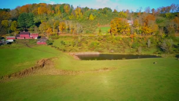 Nowa Anglia Sleepy Hollow Farm Jesieni Aerial Shot Woodstock Vermont — Wideo stockowe