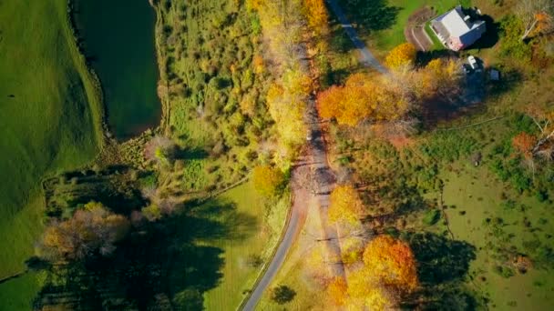 New England Sleepy Hollow Farm Autumn Aerial Shot Woodstock Vermont — Vídeo de Stock