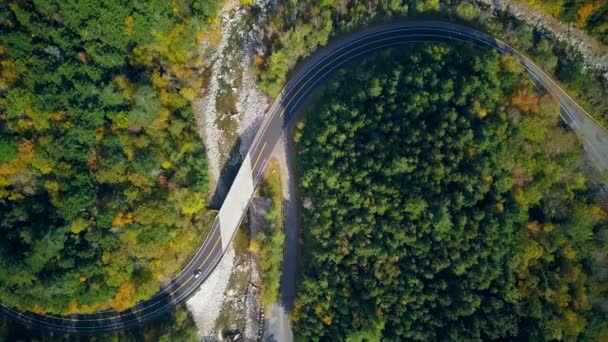 Mohawk Trail Winding Road Autumn Aerial Shot Massachusetts États Unis — Video