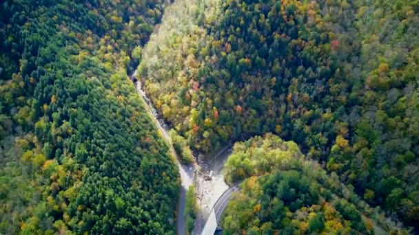 Mohawk Trail Звивистій Дорозі Восени Повітряні Постріл Штат Массачусетс Сша — стокове відео