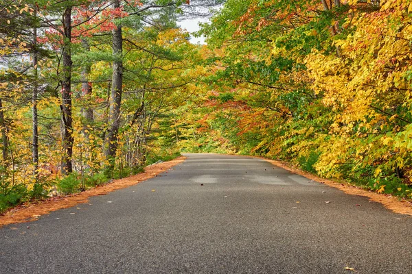 Herfst scène met weg — Stockfoto