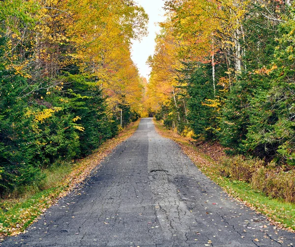 Autumn road in Maine — Stock Photo, Image