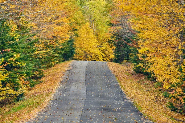 Autumn road in Maine — Stock Photo, Image