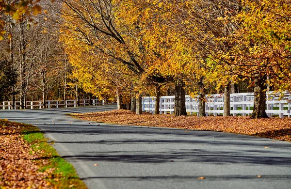 Estrada no dia de outono, Vermont, EUA. — Fotografia de Stock