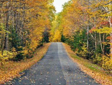 Maine 'de sonbahar yolu