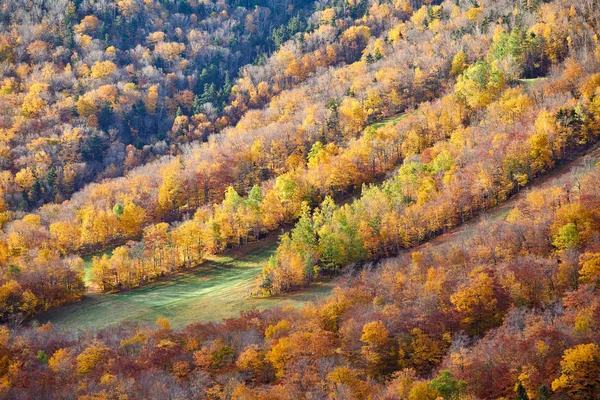 Vista desde Artist 's Bluff en otoño, New Hampshire —  Fotos de Stock