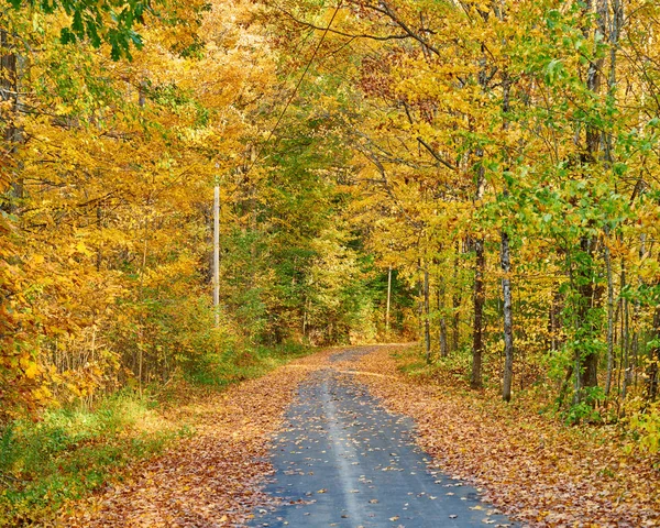 Autumn road in Maine — Stock Photo, Image