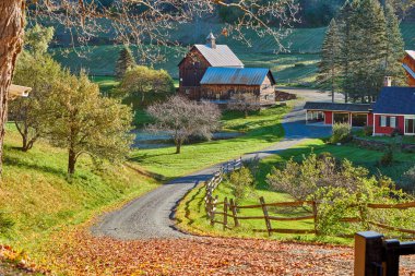 Sleepy Hollow Farm içinde Güneşli sonbahar gün Woodstock, Vermont, ABD