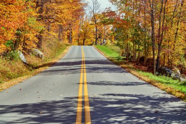 Sonbahar gününde otoyol, Vermont, ABD.