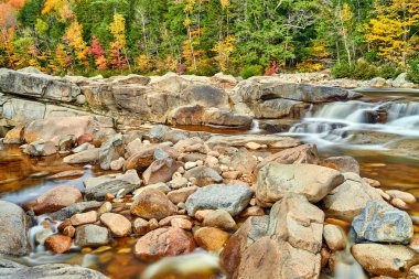 Sonbaharda Swift River Şelaleleri, New Hampshire, ABD