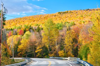 Otoyol sonbahar günü, Maine, ABD.
