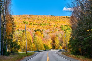 Otoyol sonbahar günü, Maine, ABD.