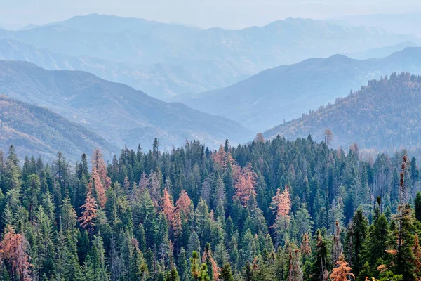 Parque Nacional de Sequoia paisaje de montaña en otoño — Foto de Stock