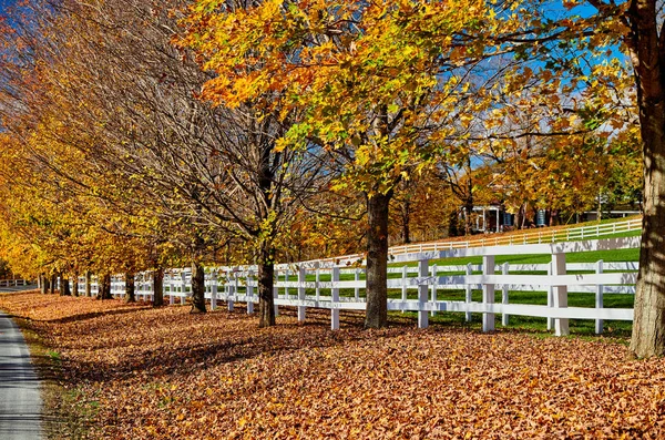 Autopista en el día de otoño, Vermont, EE.UU.. — Foto de Stock