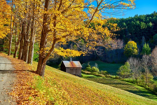 Cheminée route non goudronnée à l'automne dans le Vermont, États-Unis. — Photo