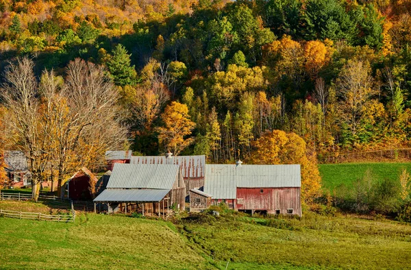 Ferme Jenne avec grange à la journée ensoleillée d'automne — Photo