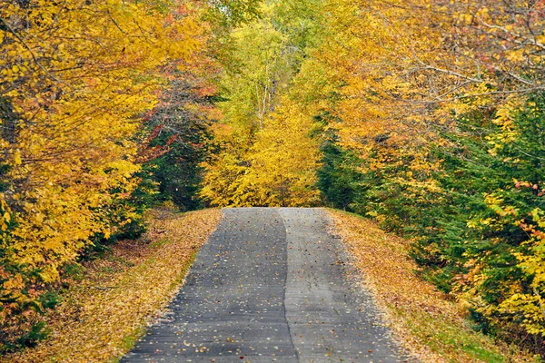 Autumn road in Maine — Stock Photo, Image