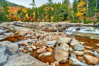 Sonbaharda Swift River Şelaleleri, New Hampshire, ABD