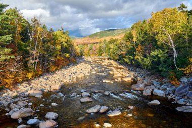 Sonbaharda Swift River Şelaleleri, New Hampshire, ABD