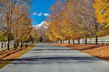 Sonbahar gününde otoyol, Vermont, ABD.