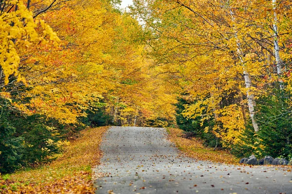 Strada d'autunno nel Maine — Foto Stock