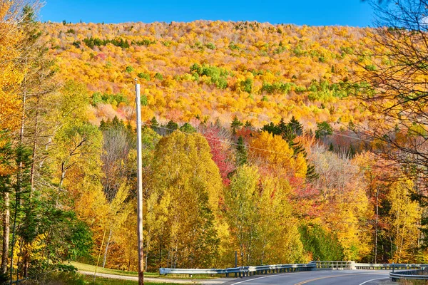 Otoyol sonbahar günü, Maine, ABD.