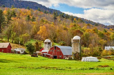 Vermont 'ta kırmızı ahır ve siloları olan bir çiftlik.