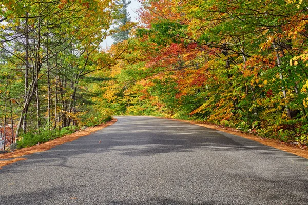 道路と秋のシーン — ストック写真