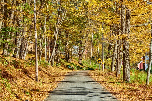 Dirt unpaved road at autumn in Vermont, USA. — Stock Photo, Image