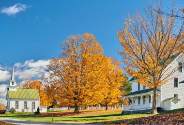 Güneşli sonbahar gününde otoyol 