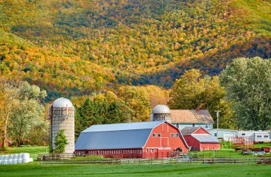 Vermont 'ta kırmızı ahır ve siloları olan bir çiftlik.