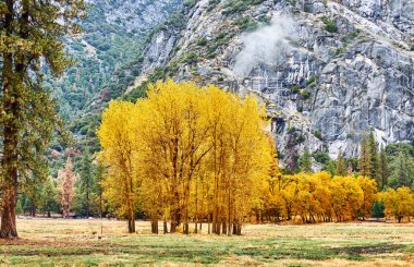 Yosemite Vadisi Bulutlu bir sonbahar sabahı 