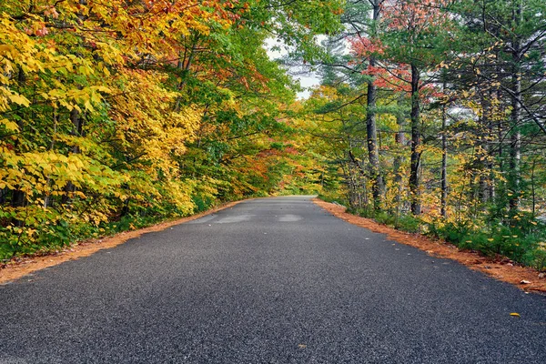 Scena autunnale con strada — Foto Stock