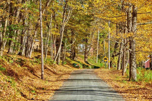 米国バーモント州の秋に未舗装の道路を汚れ. — ストック写真