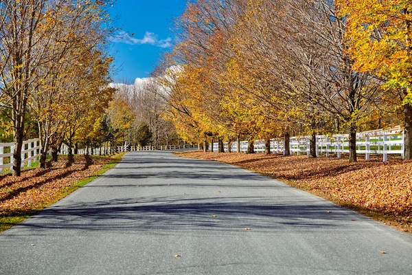 Autópálya ősszel, Vermont, USA. — Stock Fotó